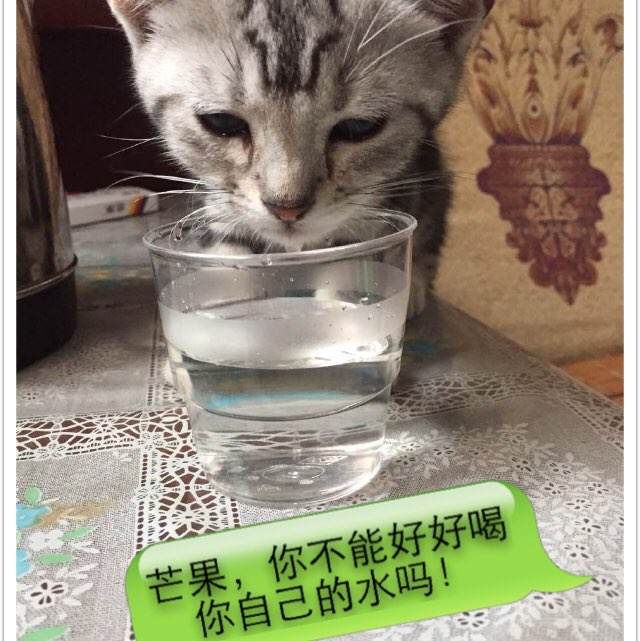 横浜市立大学学信网认证办理